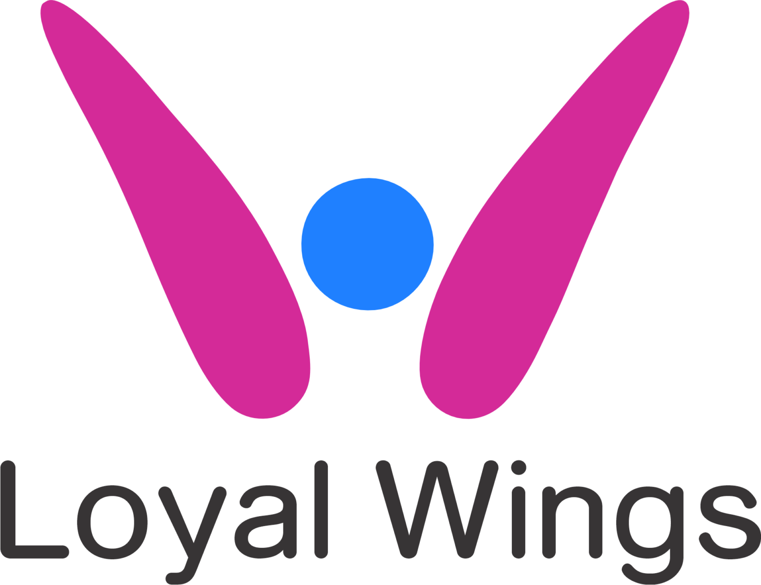 Aircraft Structural Health Monitoring System Loyal Wings aircraft-structural-health-monitoring-system-loyal-wings